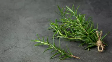 garnishing-instructions-image